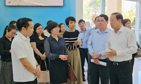 TPHCM báo cáo Hội đồng bầu cử quốc gia về việc tổ chức bầu cử sớm