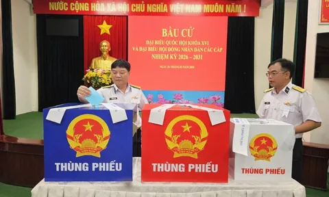 4 khu vực bỏ phiếu sớm ở TPHCM đồng loạt khai mạc