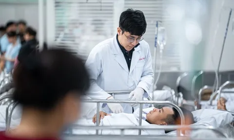 10 đại học đào tạo Y, Dược hàng đầu tại Việt Nam