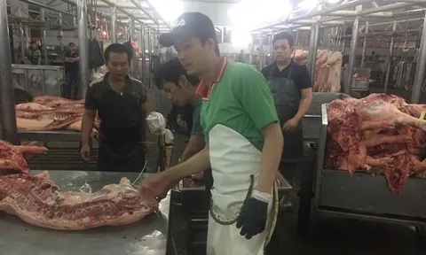 Giá heo hơi hôm nay, 28-2: Diễn biến mới tại chợ đầu mối