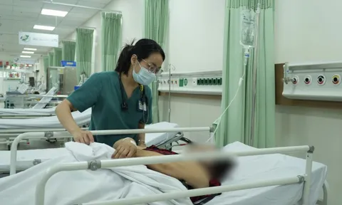 Thông tin mới nhất về vụ nghi ngộ độc bánh mì vừa xảy ra ở phường Hạnh Thông