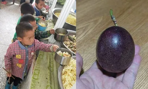 Con luôn miệng khen cơm trưa ở trường ngon, mẹ vô tình kiểm tra cặp sách thấy thứ đồ bé mang về, lập tức kiện hiệu...