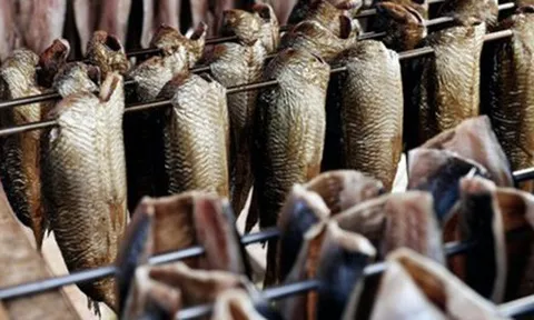 Việt Nam đón thêm tin vui từ Trung Quốc