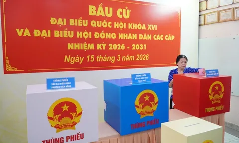 Cử tri đi bầu cử cần lưu ý những gì?