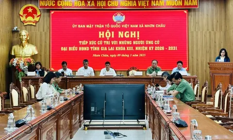 Biển động, ứng cử viên đại biểu HĐND Gia Lai tiếp xúc cử tri trực tuyến với xã đảo