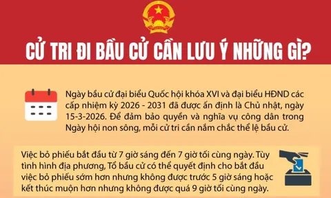 [Infographic] Cử tri đi bầu cử cần lưu ý những gì?