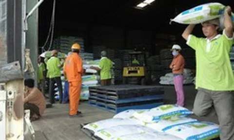 Căng thẳng Trung Đông kéo dài, giá thức ăn chăn nuôi có thể tăng 10%