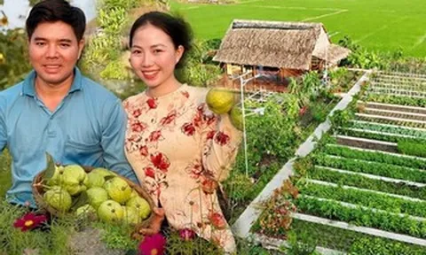Vợ chồng ở An Giang bỏ phố về quê dựng khu vườn xanh mướt, hút triệu view