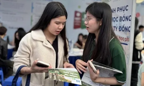 Xét học bạ bị "siết", giới hạn chứng chỉ ngoại ngữ: Thí sinh cần lưu ý