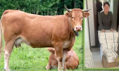 Cô gái đi làm xa bị ốm, xúc động nhận kiện hàng đặc biệt từ quê nhà