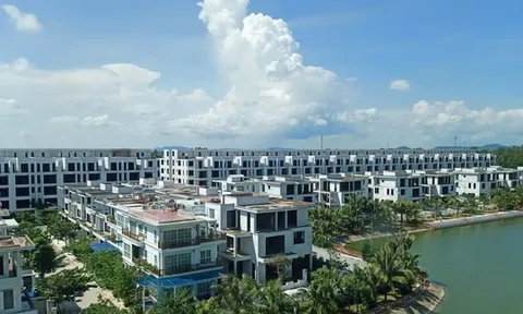 Thị trường căn hộ condotel phân hóa mạnh về nguồn cung và giá bán