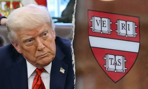 Đại học Harvard lại khổ sở vì ông Trump
