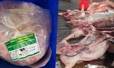 Vụ 300 tấn thịt lợn bệnh: Gói thầu hơn 10 tỷ đồng đưa thực phẩm bẩn vào trường tiểu học ở Hà Nội