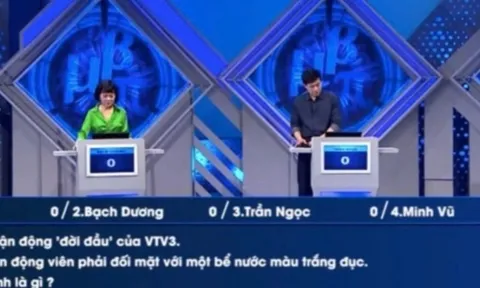 4 MC đình đám VTV thi Đường lên đỉnh Olympia