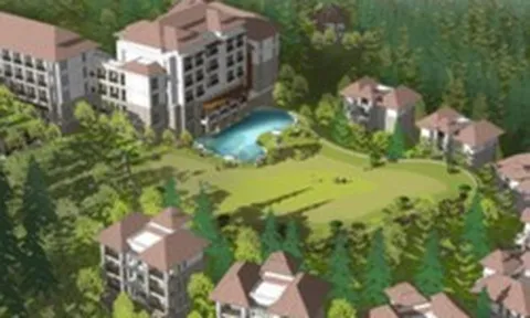 Một doanh nghiệp liên quan đến ông Đặng Thành Tâm báo lãi tăng vọt, giảm mạnh nợ vay