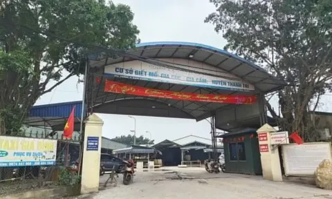 Bộ GD&ĐT yêu cầu kiểm tra suất ăn học đường trên toàn quốc