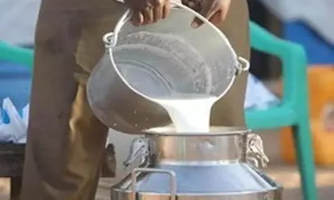 Đột kích một căn nhà lúc 1 giờ sáng, công an triệt phá đường dây sản xuất sữa giả từ hóa chất, tịch thu hàng nghìn lít dung dịch và máy trộn công nghiệp