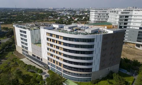 Thêm một trường y tại TP.HCM mở ngành Tâm lý học