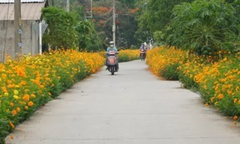 TPHCM: Xã đủ điều kiện khẩn trương hoàn thiện thủ tục lên phường