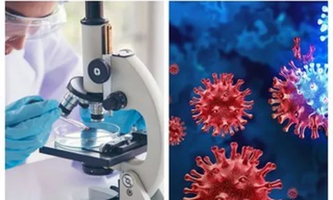 Tổ chức Y tế Thế giới công bố tin vui đến Bệnh viện Bệnh Nhiệt đới TPHCM