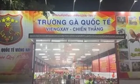 Triệt phá đường dây đá gà xuyên quốc gia, giao dịch hơn 1.200 tỷ đồng trong gần 1 tháng