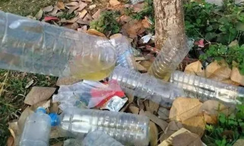 “Nậm thoong” len lỏi vùng biên: Cảnh báo mới về một dạng chất kích thích trá hình