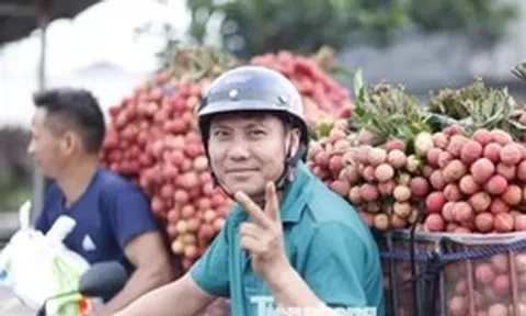 Vải thiều Bắc Ninh sắp vào vụ, doanh nghiệp đổ về 'chốt đơn'
