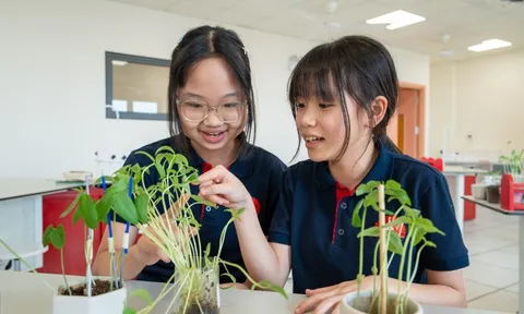 Lịch nghỉ hè của học sinh cả nước mới nhất