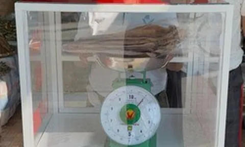 Sầm Sơn lắp cân đối chứng ở khu hải sản để chống "buôn gian bán lận"