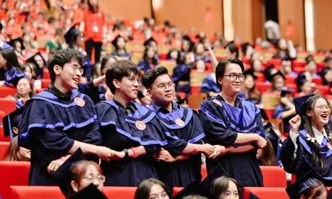 Thành lập phân hiệu, sáp nhập một số trường cao đẳng vào đại học