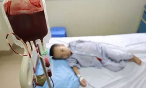 14 triệu người Việt mang gen thalassemia mà không hay biết