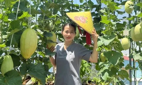 Vườn dưa lúc lỉu trên sân thượng ở TPHCM, chủ nhà 5 năm làm việc 'ngược đời'