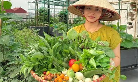 Chi 30 triệu làm vườn sân thượng, mẹ đảm Bắc Ninh tha hồ thu rau trái quanh năm