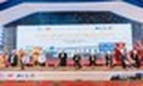 Hơn 50% diện tích dừa cả nước tập trung tại đây: Lộ diện nhà máy 60.000 m2 tham vọng "đánh chiếm" kệ hàng Mỹ