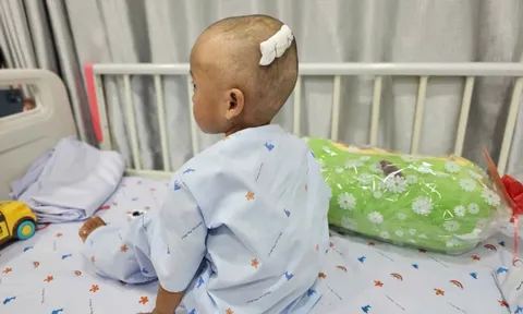 Trẻ em liên tiếp bị bạo hành, đừng đợi đến khi có bi kịch