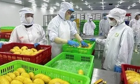Khoa học, công nghệ là 'chìa khóa' chuyển đổi mô hình tăng trưởng nông nghiệp