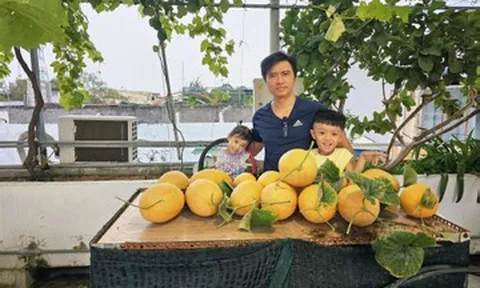 Gia đình ở Lâm Đồng làm vườn 72m2 trên sân thượng, ăn trái cây sạch quanh năm