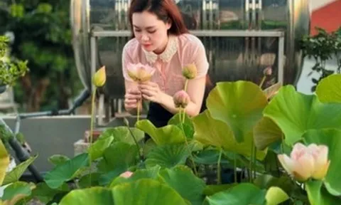 ‘Cõng bùn' lên sân thượng, 9X Quảng Ninh biến mái nhà thành vườn sen thơm ngát