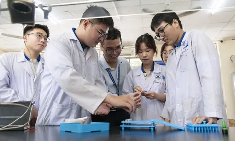 Ngành học sẽ bị xem xét loại bỏ nếu 3/4 trường đào tạo đề xuất