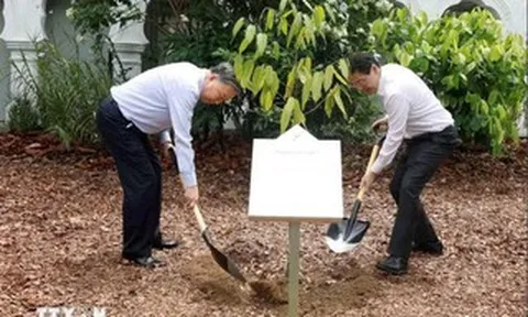 Tổng Bí thư, Chủ tịch nước Tô Lâm và Thủ tướng Lawrence Wong trồng cây tại Vườn Bách thảo Singapore