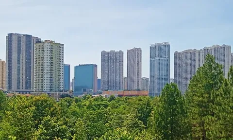 Lãi suất leo cao và cách đầu tư bất động sản thay đổi