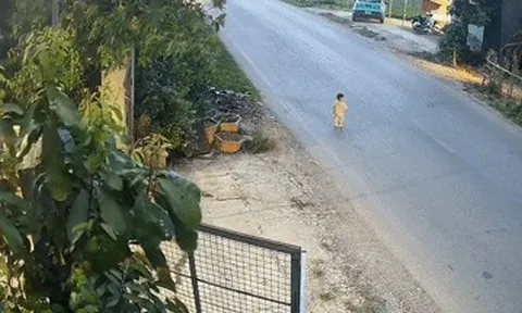 Thót tim cảnh bé 18 tháng ở Phú Thọ chạy ra đường lớn, giữa dòng xe lao vun vút
