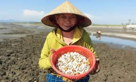 Bà lão U80 phơi mình nhiều giờ dưới nắng gắt, còng lưng săn lộc trời