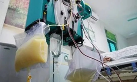 Người phụ nữ 27 tuổi "máu trắng như sữa", bác sĩ điểm mặt chỉ tên thói quen ăn uống "cực độc"