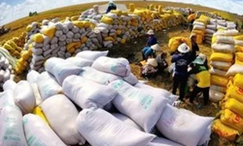 Việt Nam đón tin vui từ mặt hàng xuất khẩu chủ lực: Sản phẩm cao cấp ngày càng được ưa chuộng