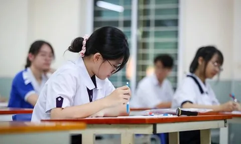 Đáp án môn Toán thi tốt nghiệp THPT 2026 nhanh nhất, đầy đủ nhất mã 0113
