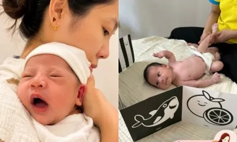 Mẹ bỉm TP.HCM thuê công ty môi giới cung cấp gói "bảo mẫu cao cấp" 44 triệu chăm con sơ sinh và kết quả nhận được
