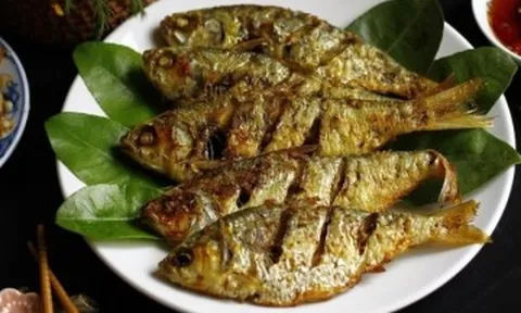 Loại cá chợ Việt bán giá bình dân nhưng lại “tốt nhất thế giới”, omega-3 vượt xa cá hồi, thơm ngon bé nào cũng mê