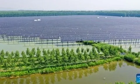 Trung Quốc vừa làm điều khó tin có thể tác động tới ngành cung cấp điện năng