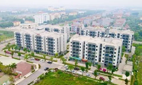 Chính phủ yêu cầu các địa phương bố trí quỹ đất làm nhà ở cho thuê